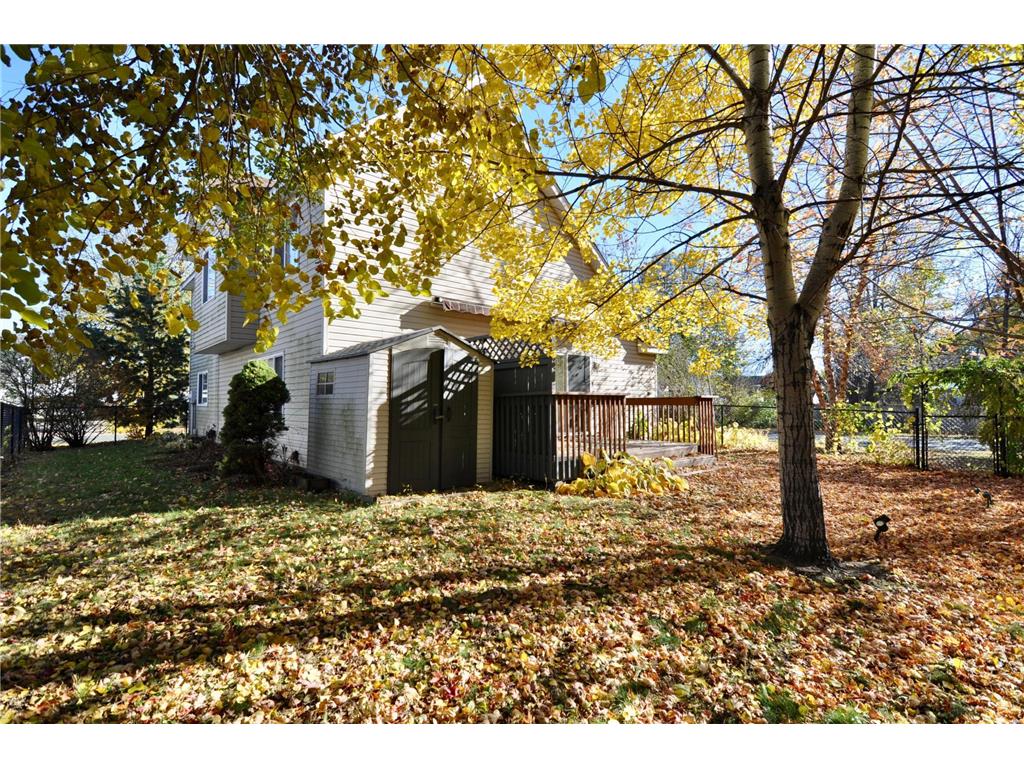 1017 Larch Street Farmington MN 55024 6813072 image20