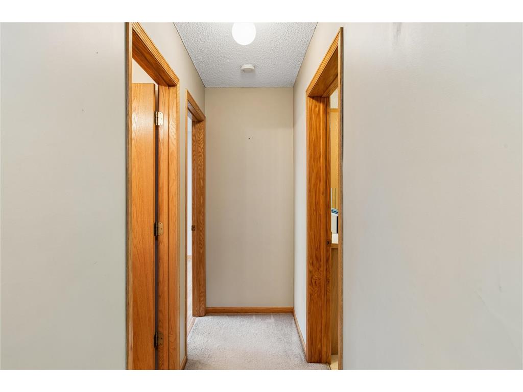 1017 Larch Street Farmington MN 55024 7055841 image10