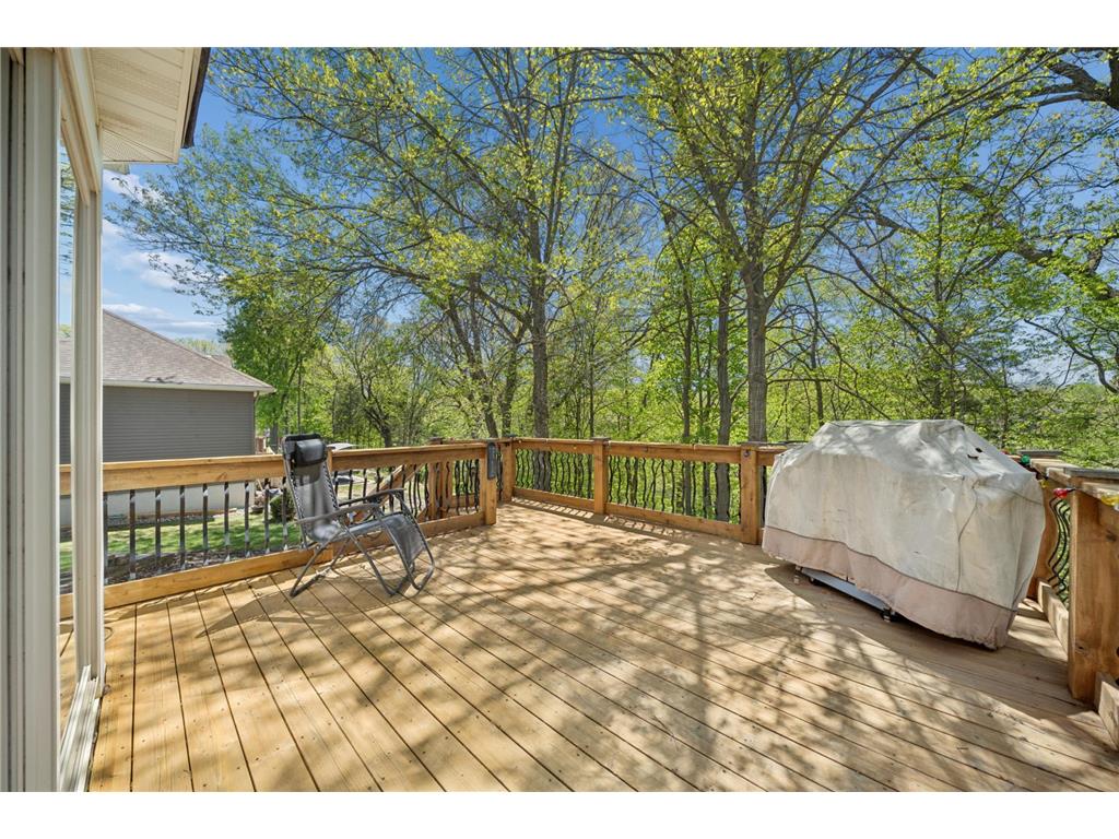 1017 Provence Lane Belle Plaine MN 56011 7074410 image40