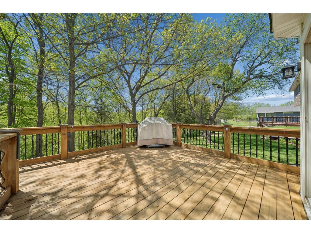 1017 Provence Lane Belle Plaine MN 56011 7074410 image41