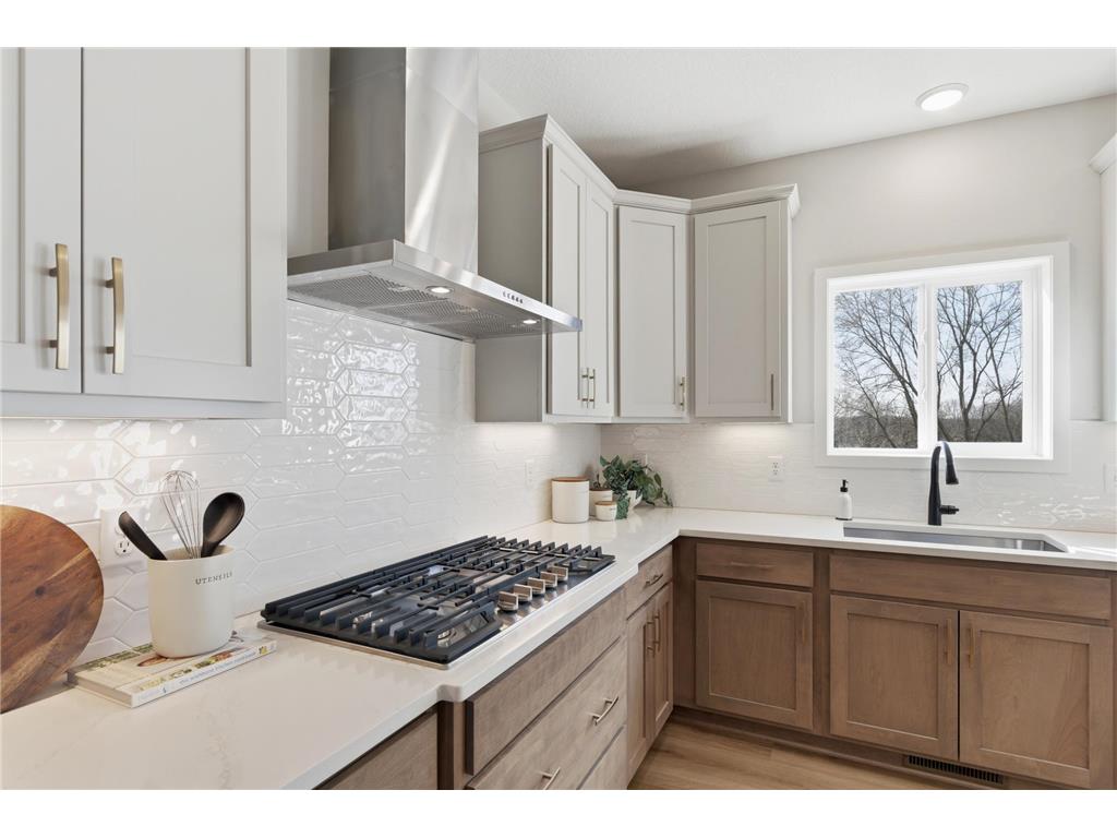 10170 Heather Lane Corcoran MN 55374 7086526 image16
