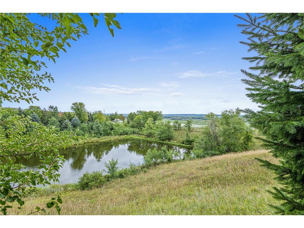 10174 Indigo Drive Eden Prairie MN 55347 6822589 image19