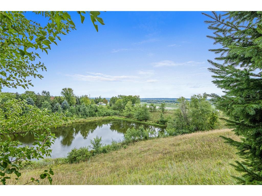 10174 Indigo Drive Eden Prairie MN 55347 7081487 image19