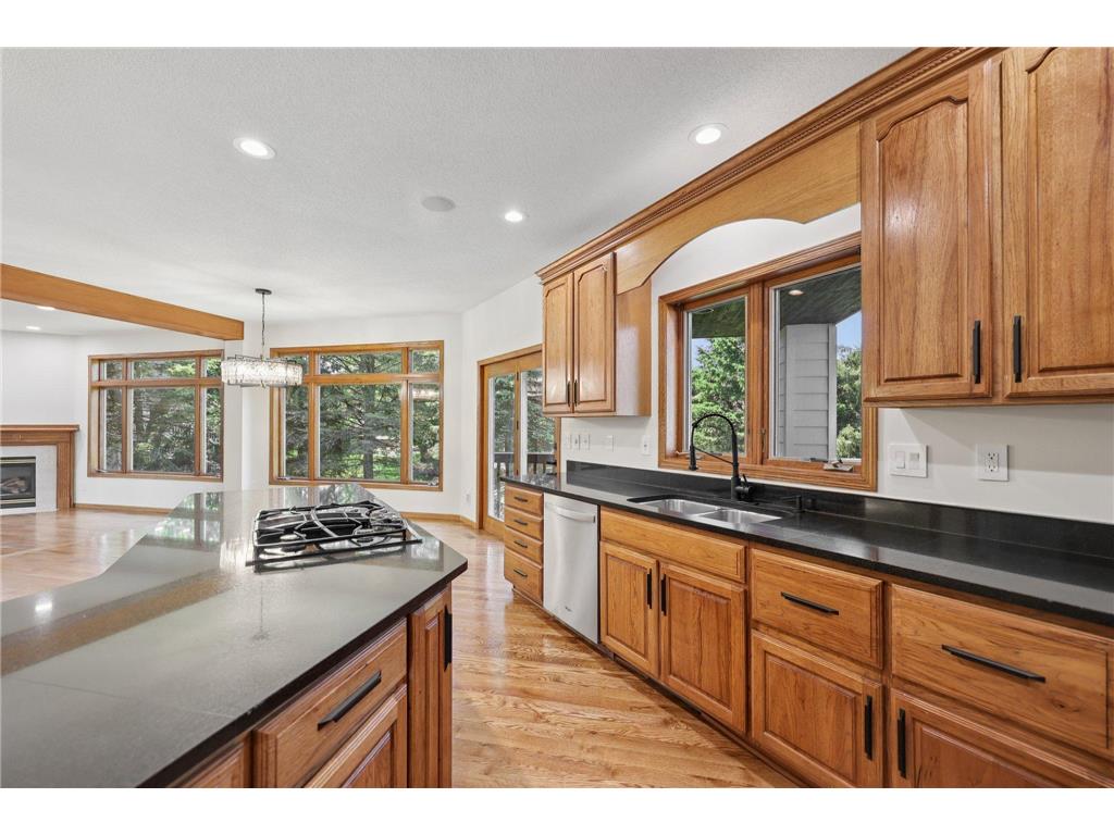 10175 Powers Lake Trail Woodbury MN 55129 7081808 image10