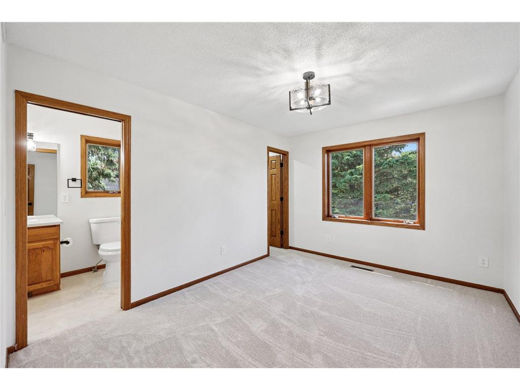10175 Powers Lake Trail Woodbury MN 55129 7081808 image38