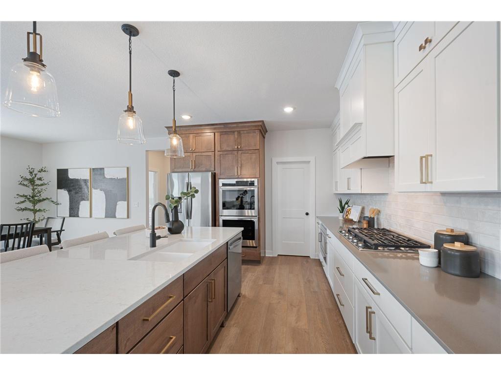 10184 Queensland Lane N Maple Grove MN 55311 7028320 image9