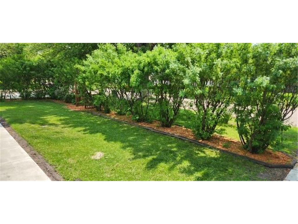 1019 Ash Street Alexandria MN 56308 7008109 image54