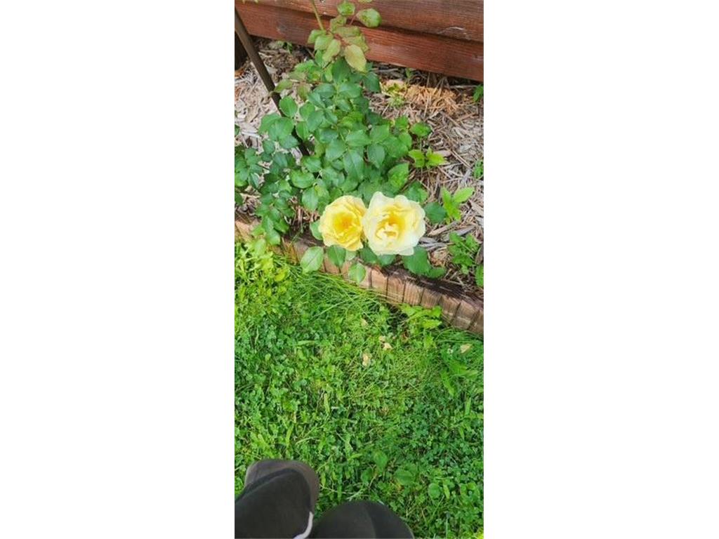 1019 Ash Street Alexandria MN 56308 7008109 image61