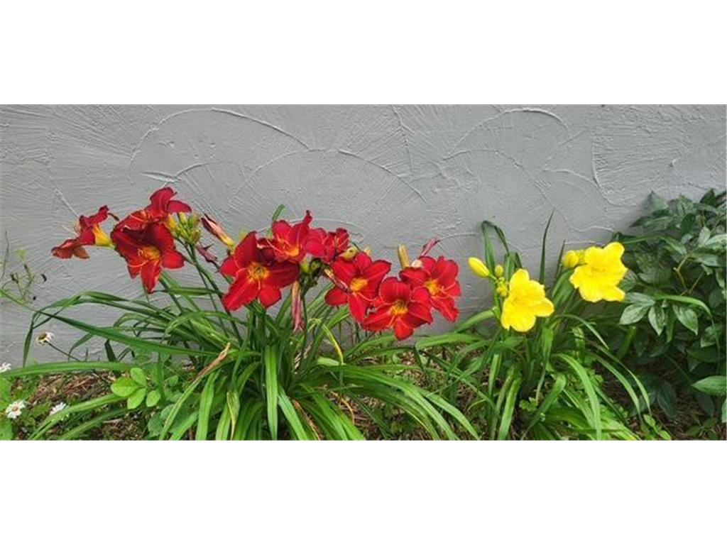 1019 Ash Street Alexandria MN 56308 7008109 image63