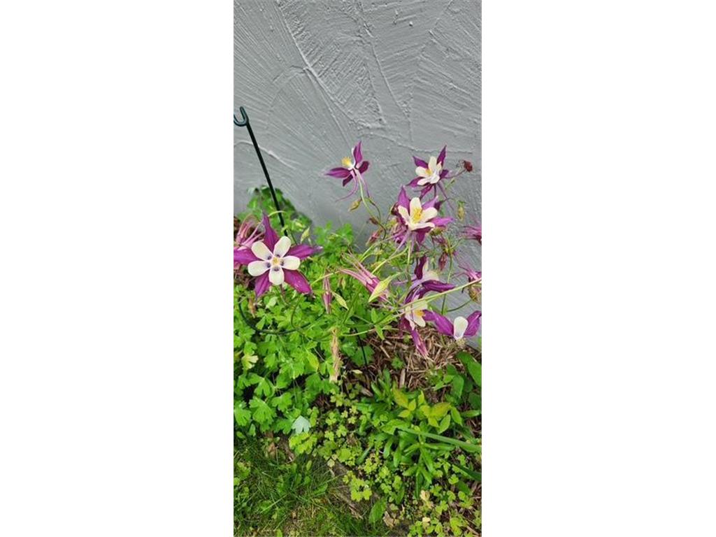 1019 Ash Street Alexandria MN 56308 7008109 image64