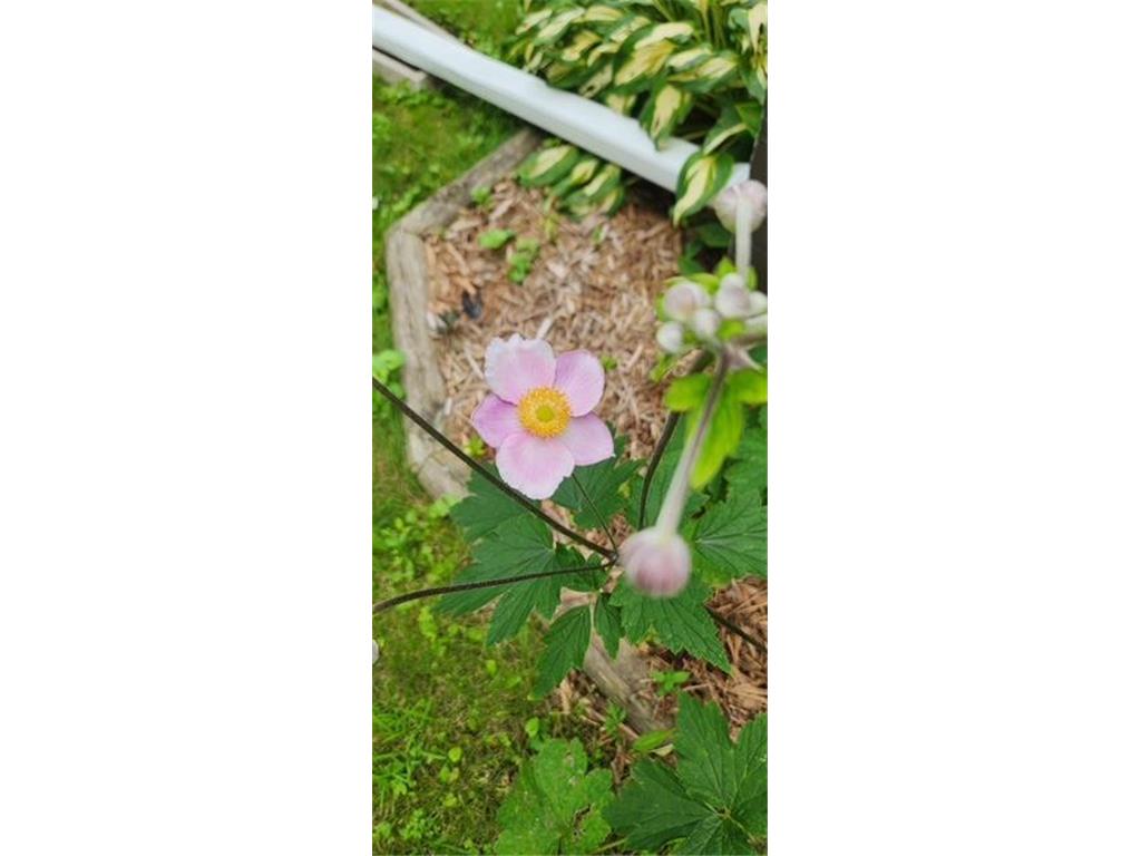 1019 Ash Street Alexandria MN 56308 7008109 image67