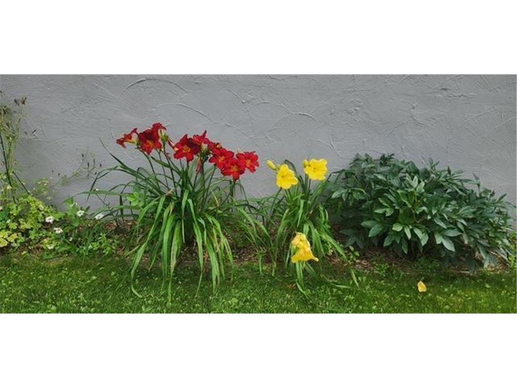 1019 Ash Street Alexandria MN 56308 7008109 image68