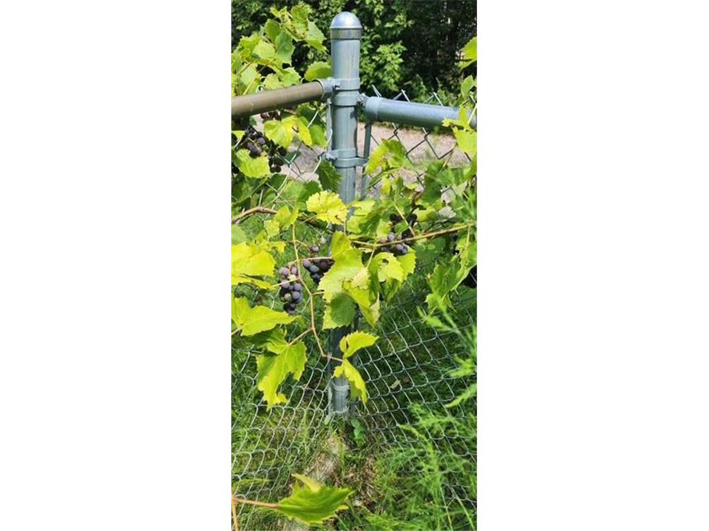 1019 Ash Street Alexandria MN 56308 7008109 image69