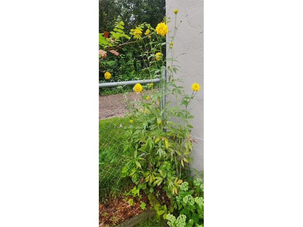 1019 Ash Street Alexandria MN 56308 7008109 image72