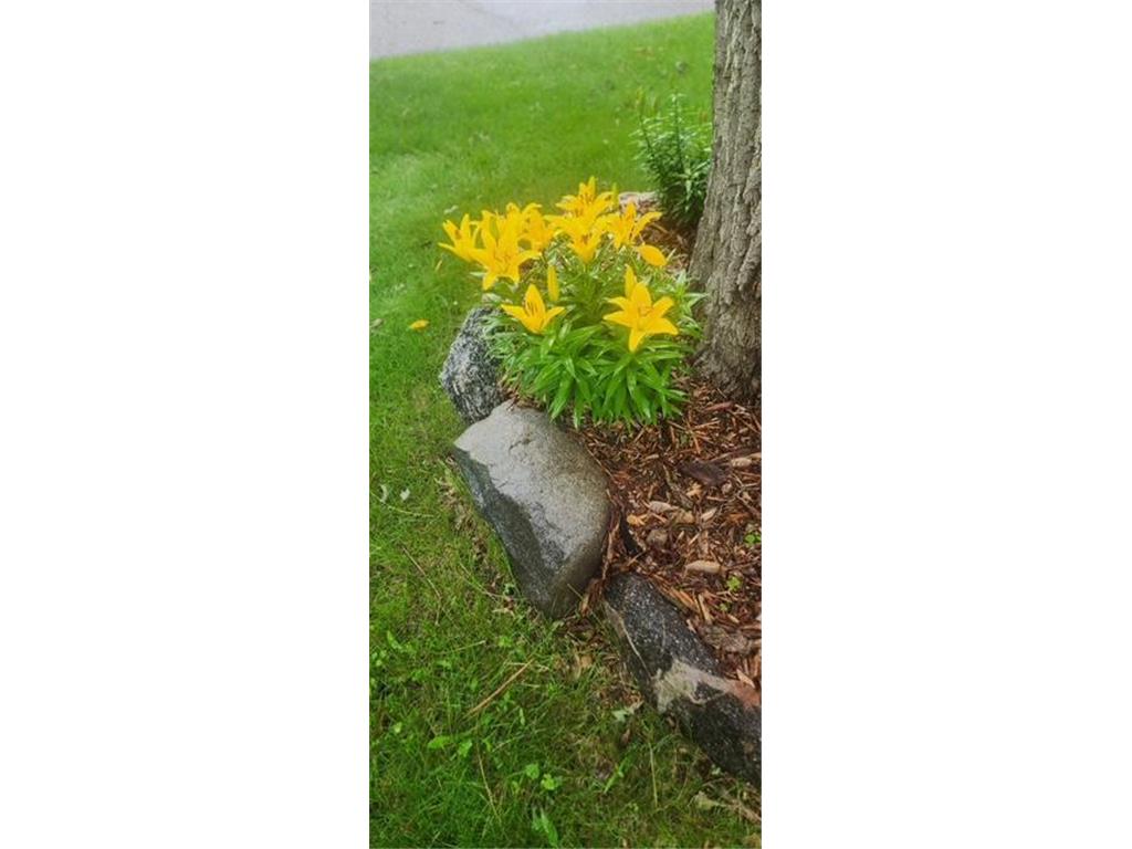 1019 Ash Street Alexandria MN 56308 7008109 image75