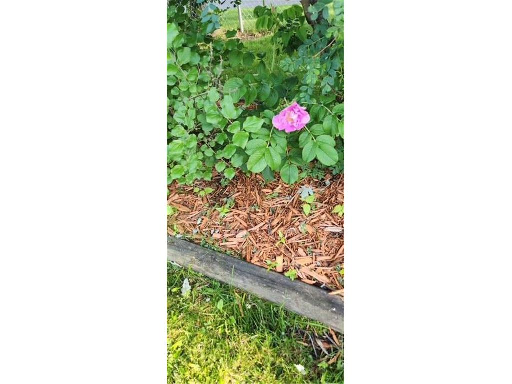 1019 Ash Street Alexandria MN 56308 7008109 image79