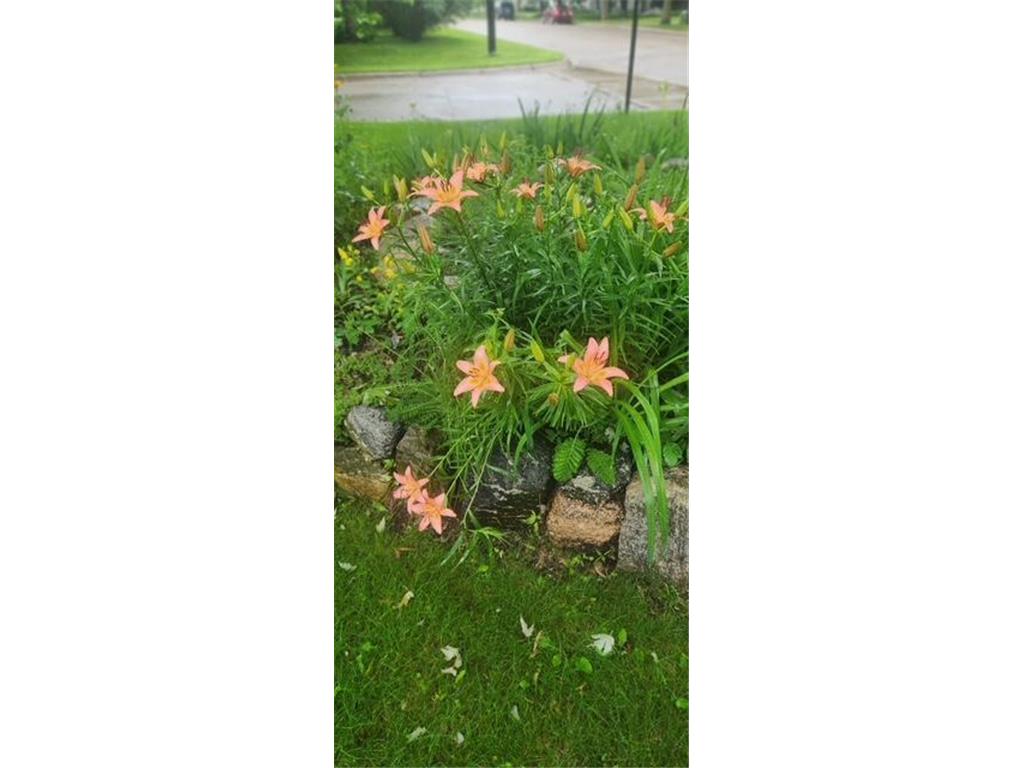 1019 Ash Street Alexandria MN 56308 7008109 image80