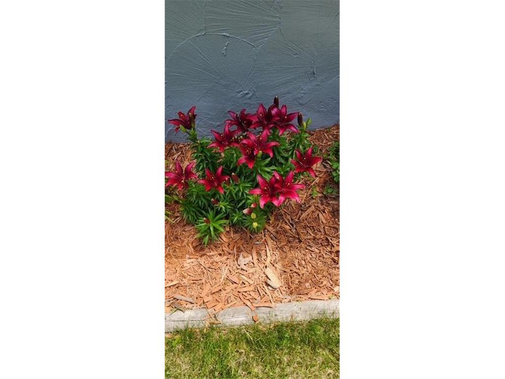 1019 Ash Street Alexandria MN 56308 7008109 image81