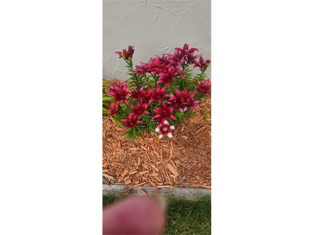 1019 Ash Street Alexandria MN 56308 7008109 image82