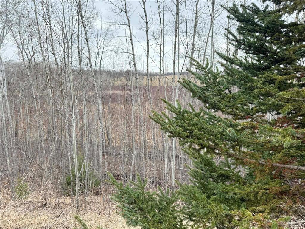 1019 Timber Drive Detroit Lakes MN 56501 7052502 image41