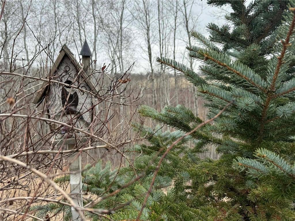 1019 Timber Drive Detroit Lakes MN 56501 7052502 image43