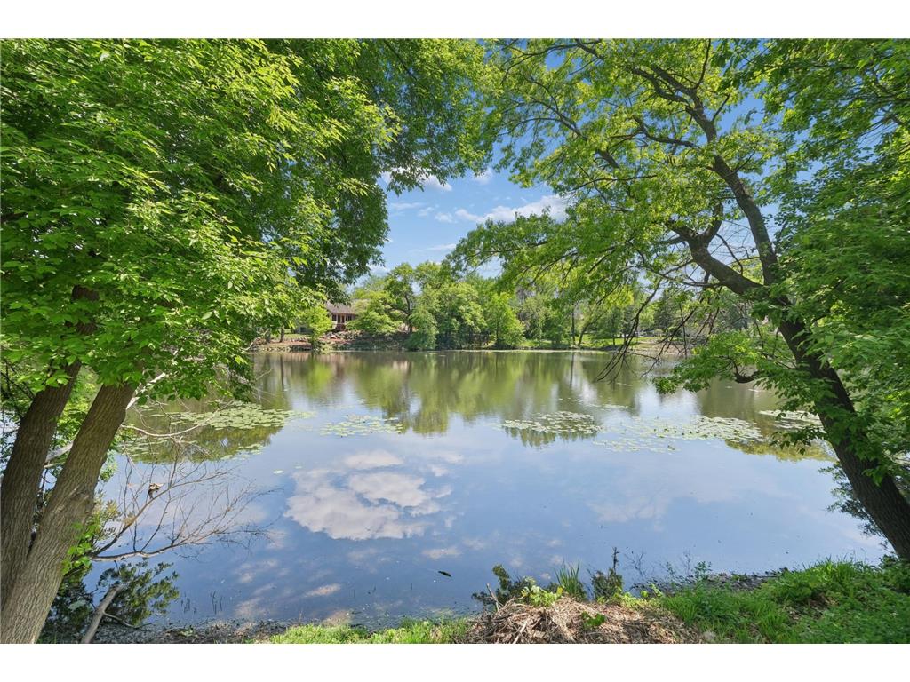 10190 170th Street W Lakeville MN 55044 - Goose Lake 7073215 image13