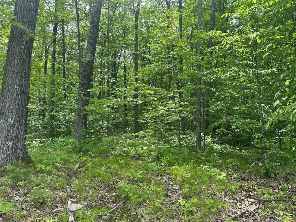 10191 N Hardwood Hills Hayward Twp WI 54843 6741433 image1