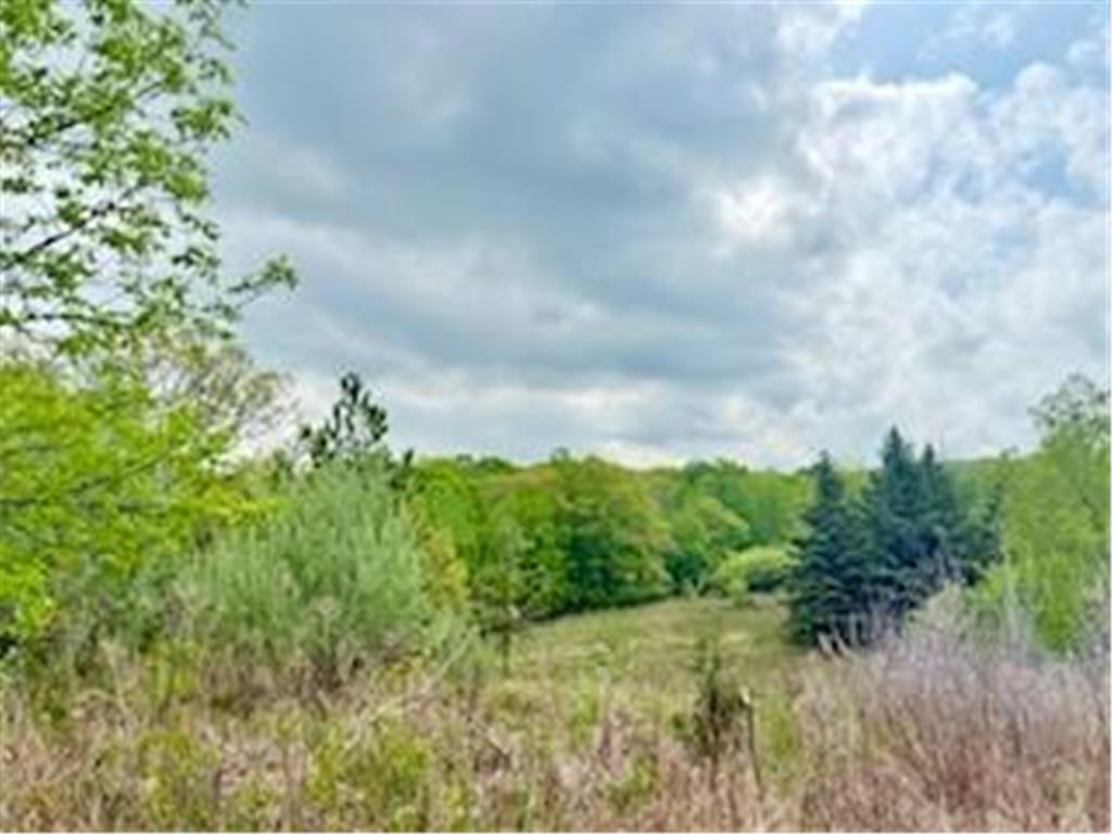 102.77 Acres 805th Street River Falls WI 54022 6721783 image1