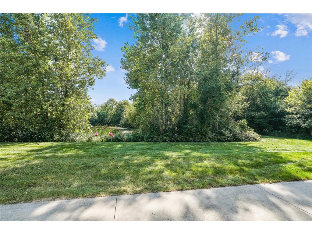 102 Century Trail Lino Lakes MN 55014 7025084 image42