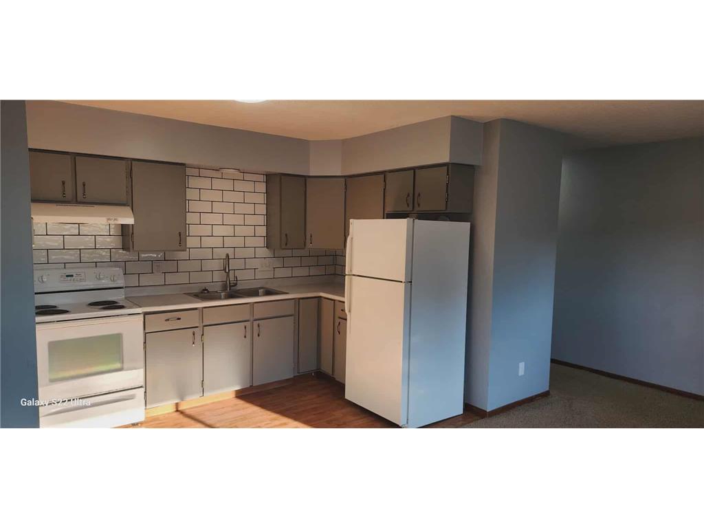 102 Lake Avenue S #4 Spicer MN 56288 6819752 image2