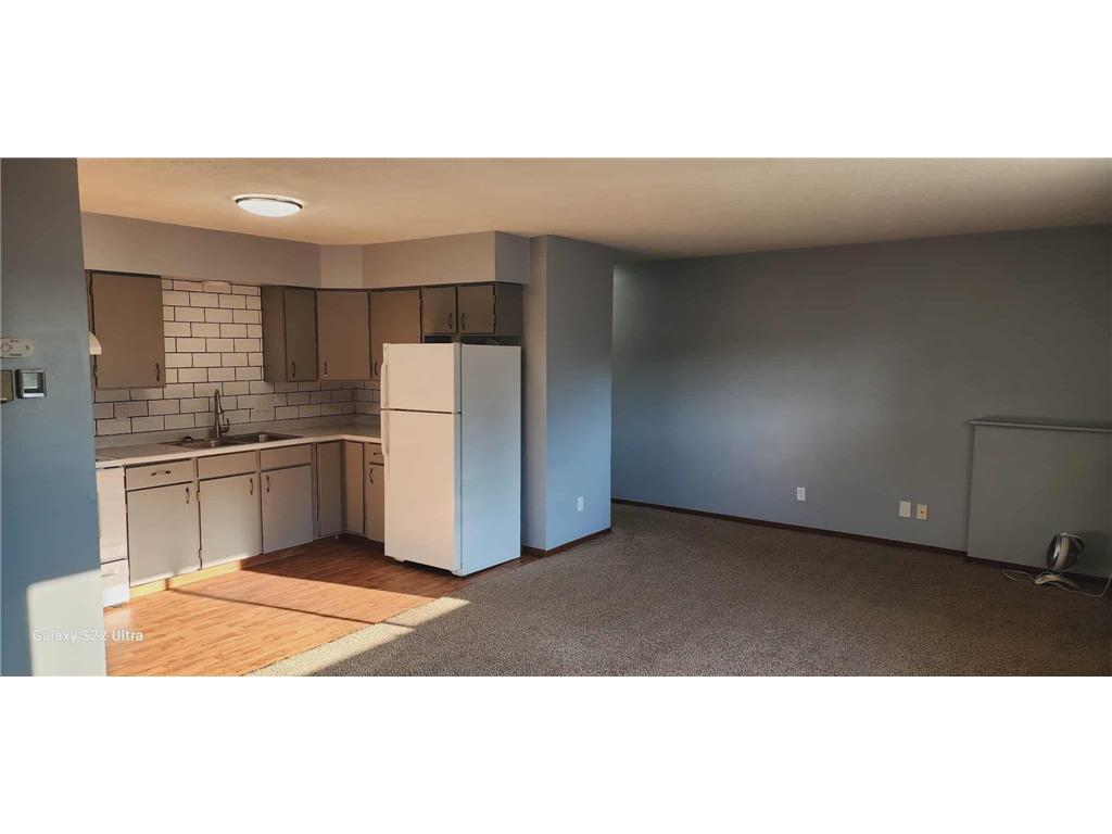 102 Lake Avenue S #4 Spicer MN 56288 6819752 image3