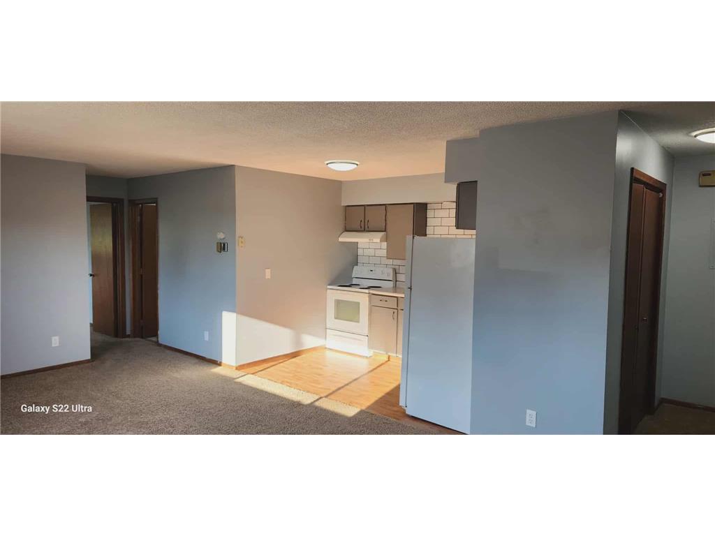 102 Lake Avenue S #4 Spicer MN 56288 6819752 image4