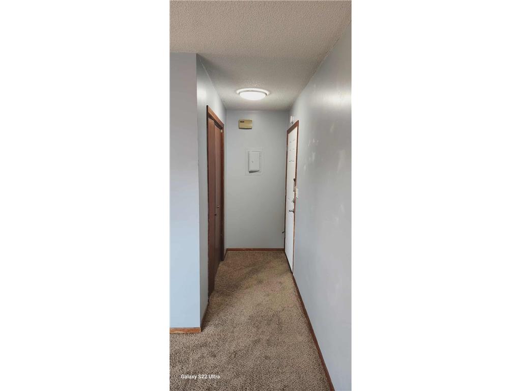 102 Lake Avenue S #4 Spicer MN 56288 6819752 image6