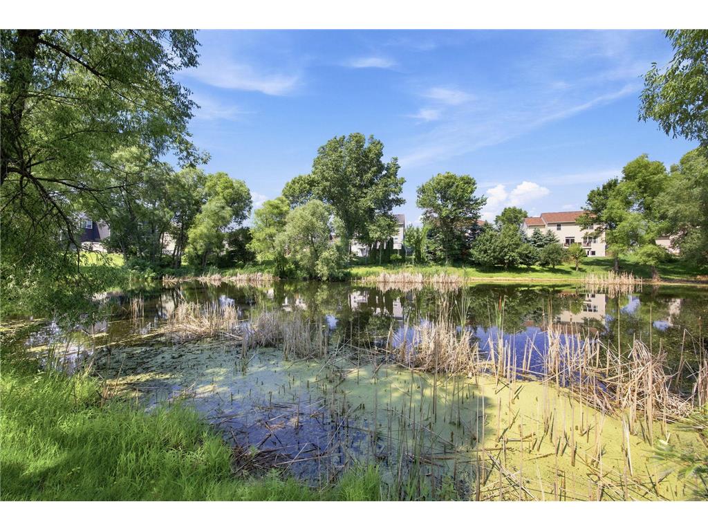 1020 Creekwood Drive N Champlin MN 55316 7103767 image10