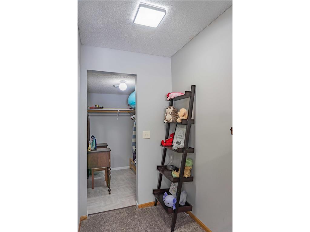 1020 Primrose Lane Waconia MN 55387 7028411 image47