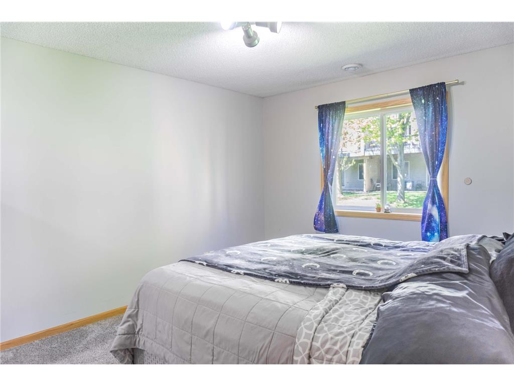 1020 Primrose Lane Waconia MN 55387 7070721 image52