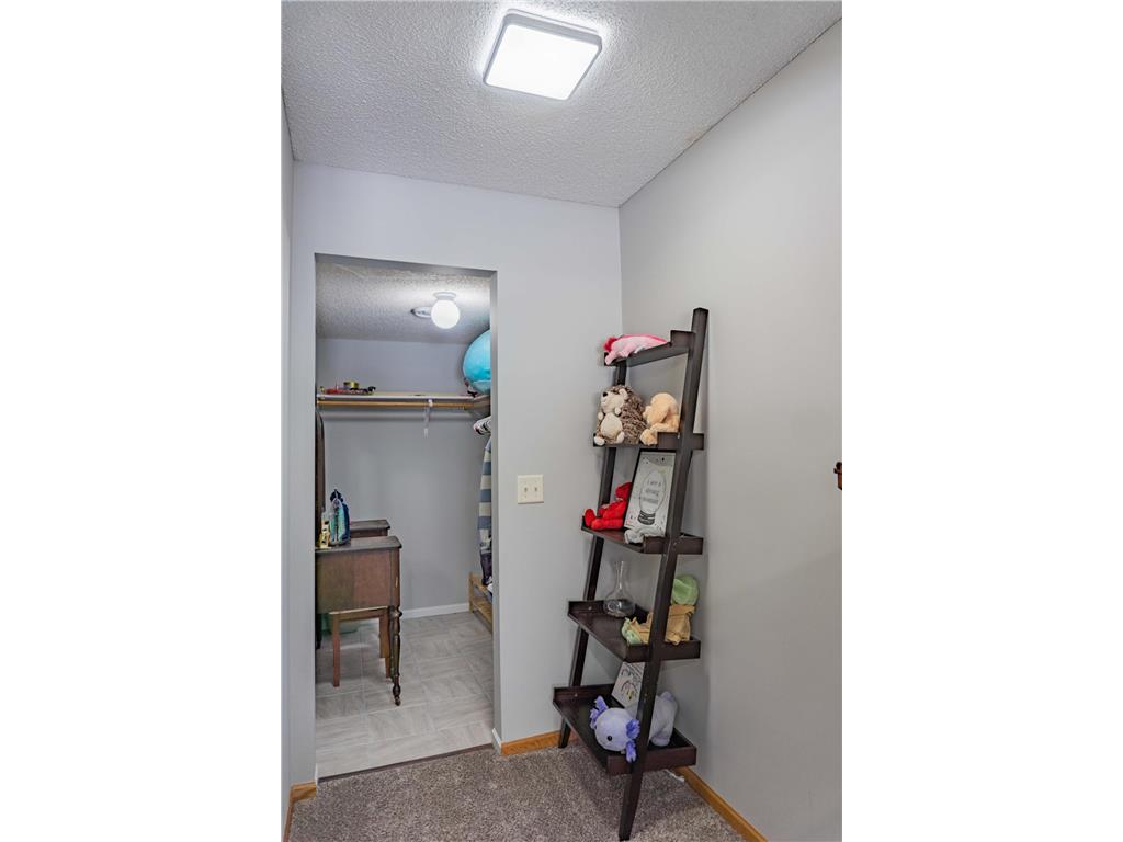 1020 Primrose Lane Waconia MN 55387 7070721 image55