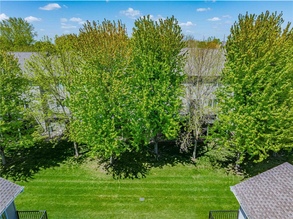 1020 Primrose Lane Waconia MN 55387 7070721 image73