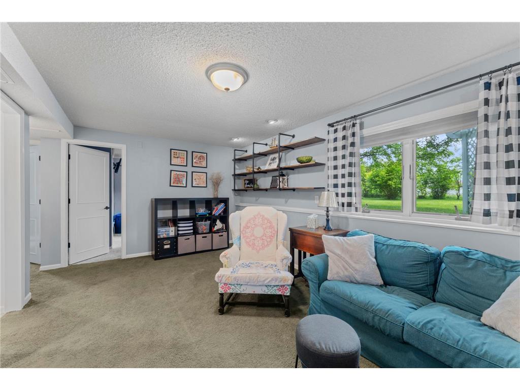 1020 Southview Avenue Braham MN 55006 7086669 image40