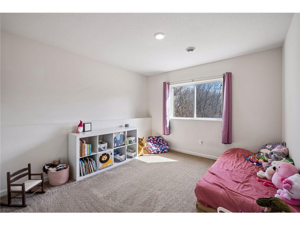1020 White Tail Lane Montrose MN 55363 7045283 image26