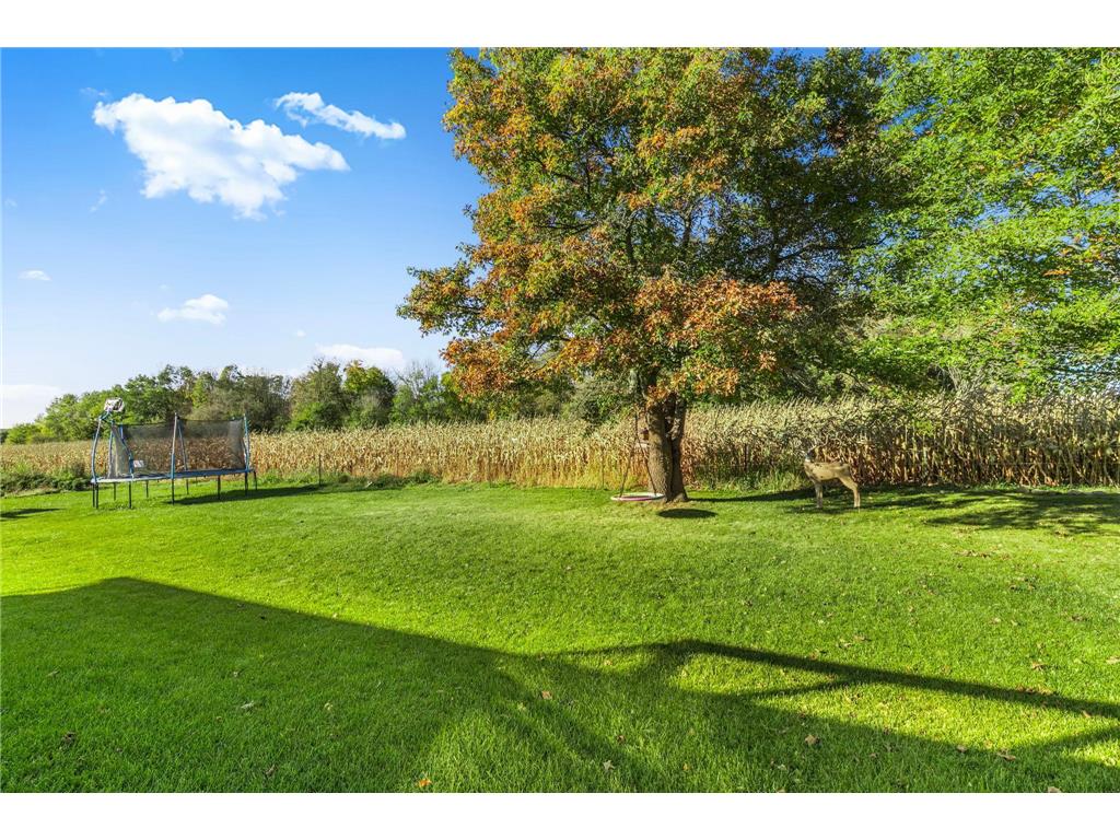 1021 13th Avenue NE Saint Joseph MN 56374 7058810 image31