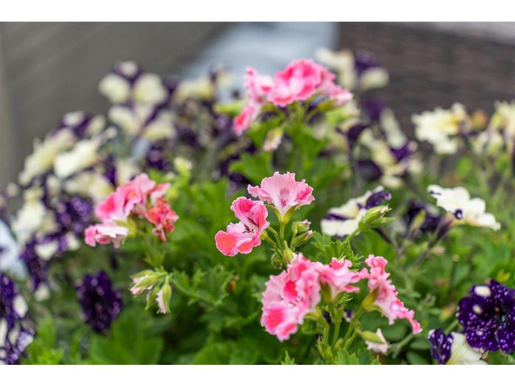 1021 167th Street Hammond WI 54015 6753863 image27