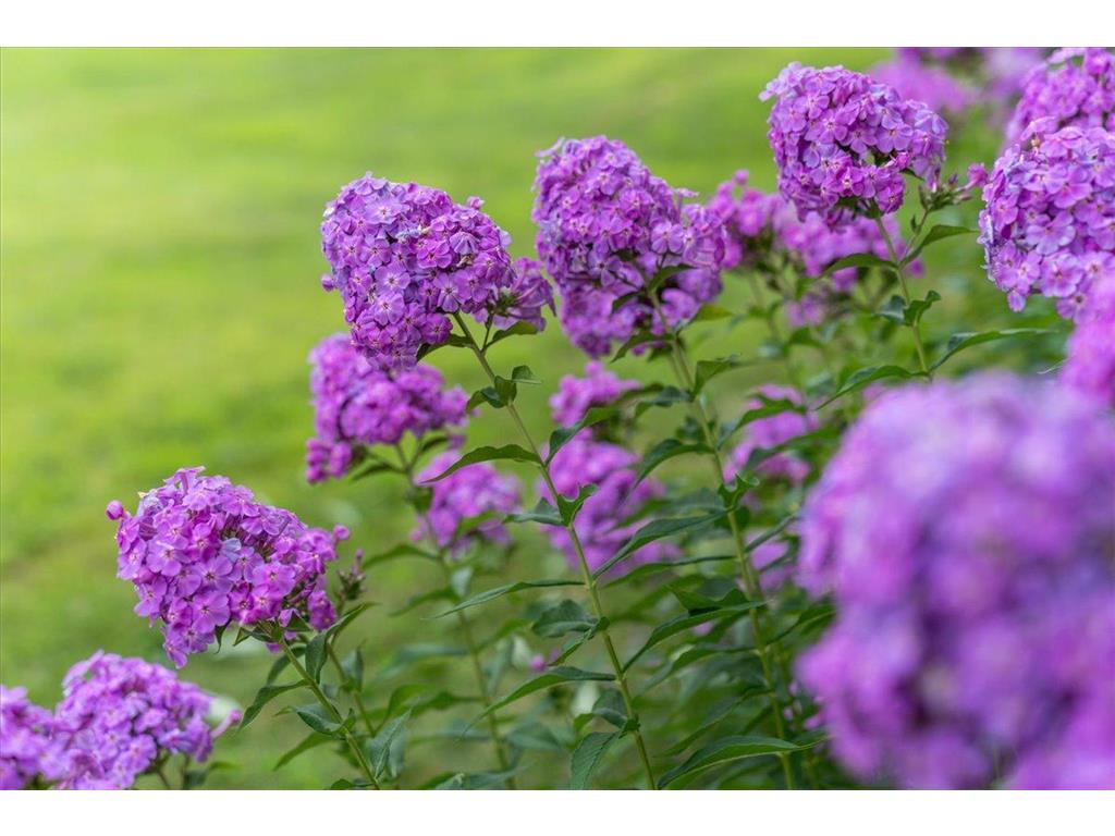 1021 167th Street Hammond WI 54015 6753863 image28