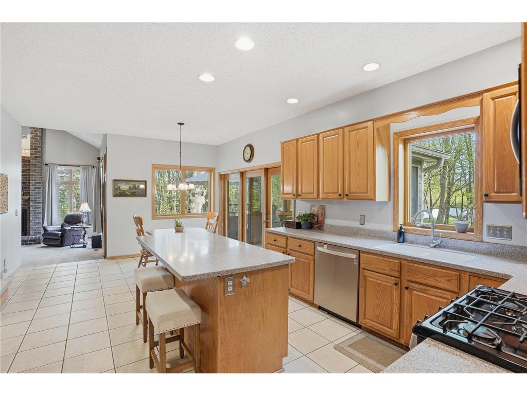 1021 Wildwood Way Chaska MN 55318 7067478 image13