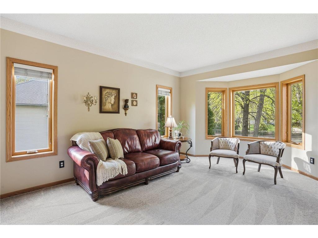 1021 Wildwood Way Chaska MN 55318 7067478 image19