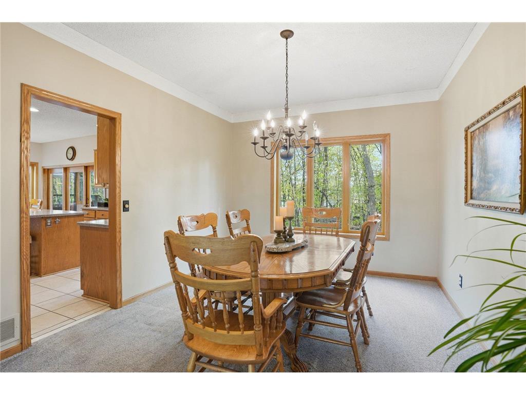 1021 Wildwood Way Chaska MN 55318 7067478 image21