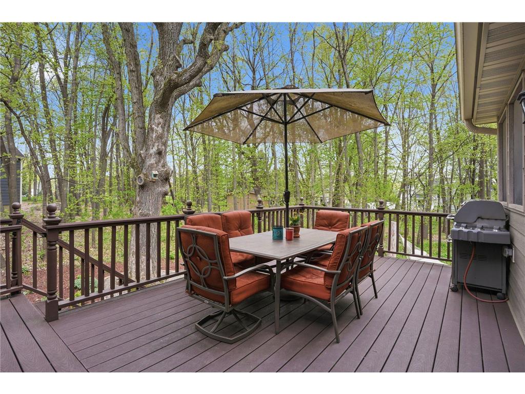 1021 Wildwood Way Chaska MN 55318 7067478 image43