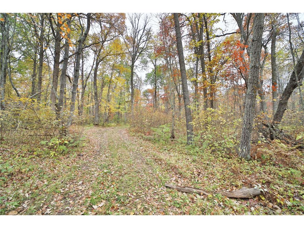 1022 Rock Elm Trail NW Pine River MN 56474 - TWO 6797855 image10