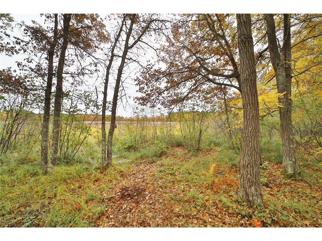 1022 Rock Elm Trail NW Pine River MN 56474 - TWO 6797855 image15