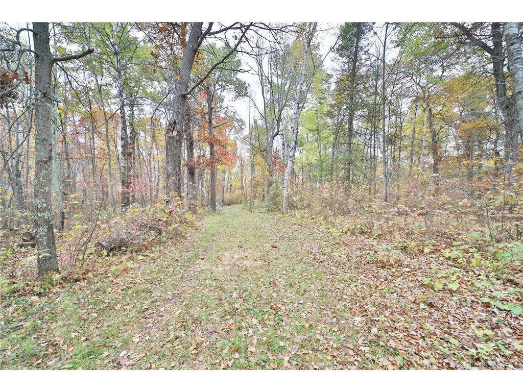 1022 Rock Elm Trail NW Pine River MN 56474 - TWO 6797855 image4